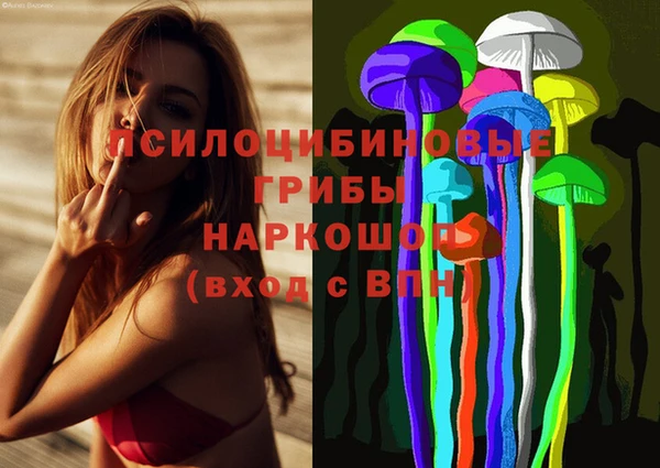 дмт Дмитриев