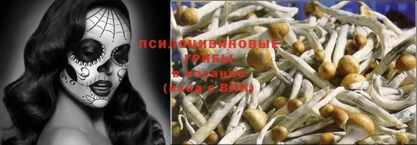 дживик Алексеевка