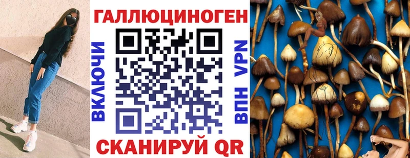 Галлюциногенные грибы MAGIC MUSHROOMS  Щучье 